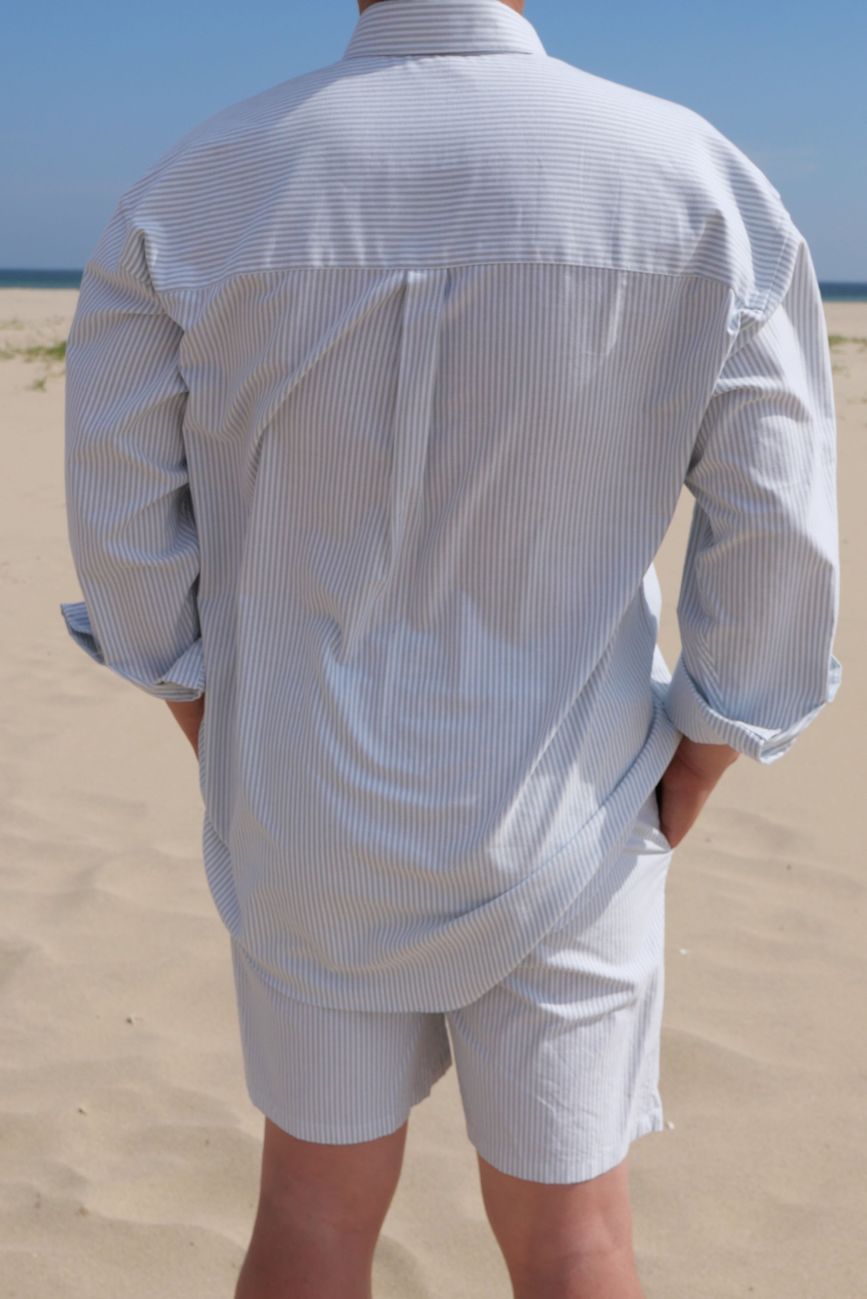 The Set - Turtle bay